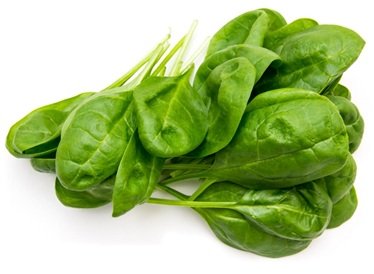 Spinach (Palak)